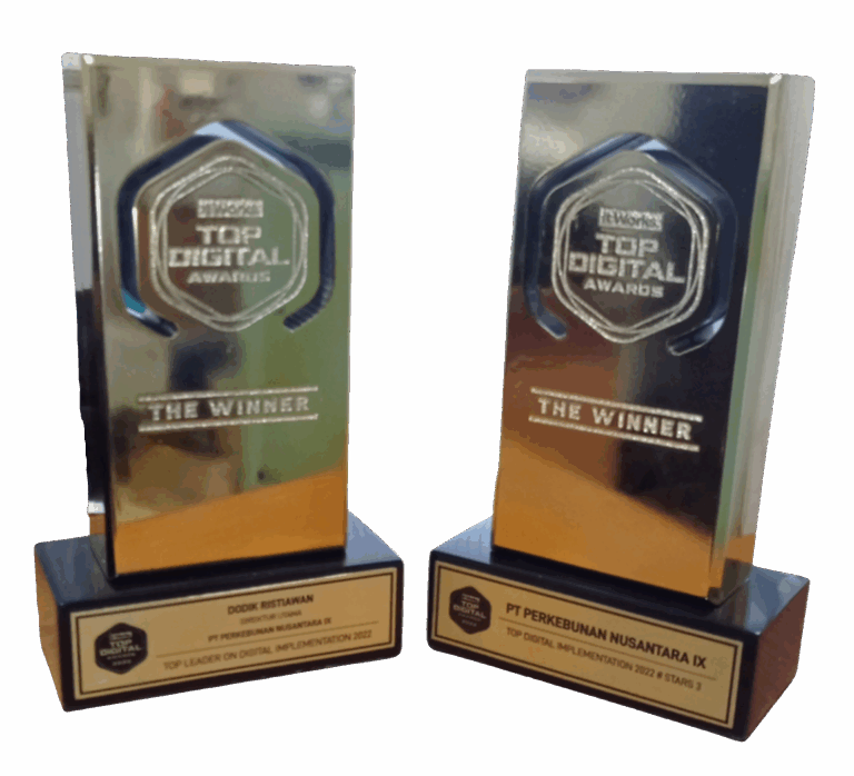 N1R3 - PENGHARGAAN TOP DIGITAL AWARD