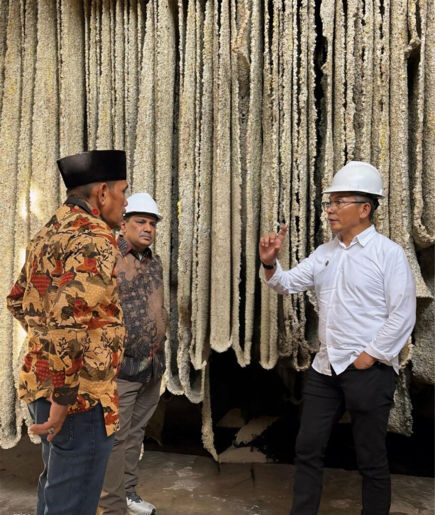 Komoditi Karet PTPN I Masih Sangat Prospektif