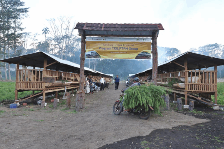 Kandang Komunal PTPN
